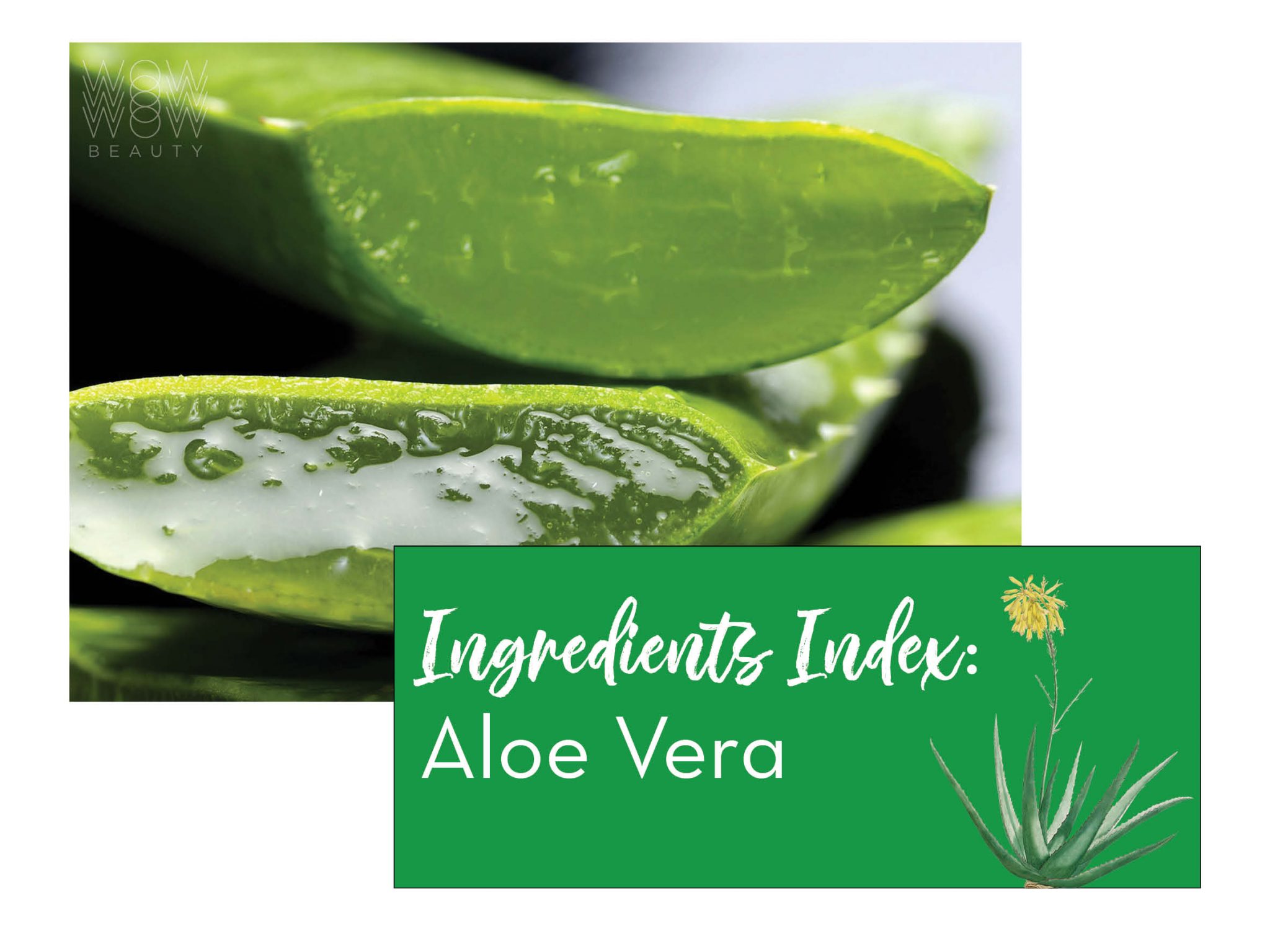 ingredients index: aloe vera