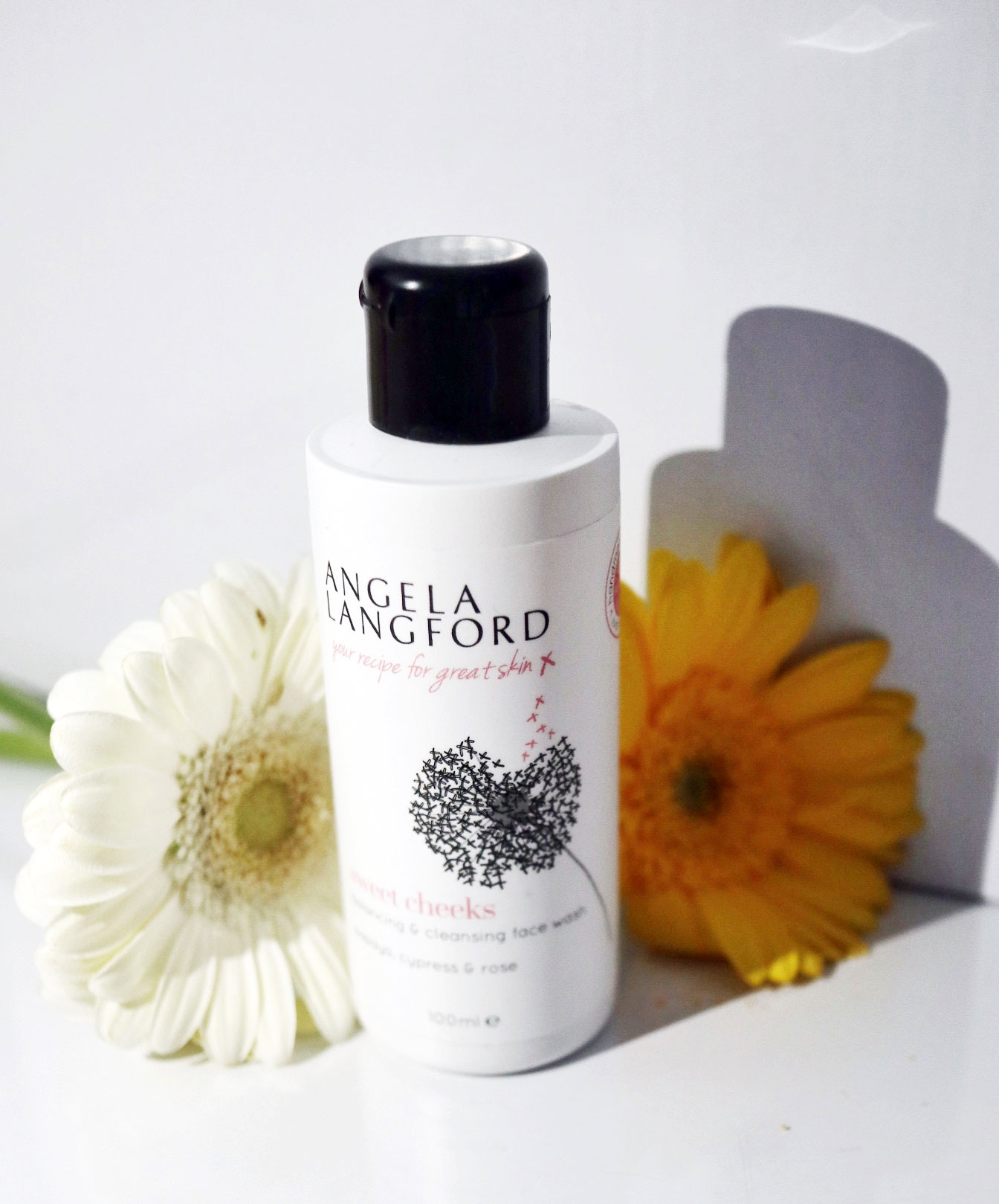 angela langford sweet cheeks face wash