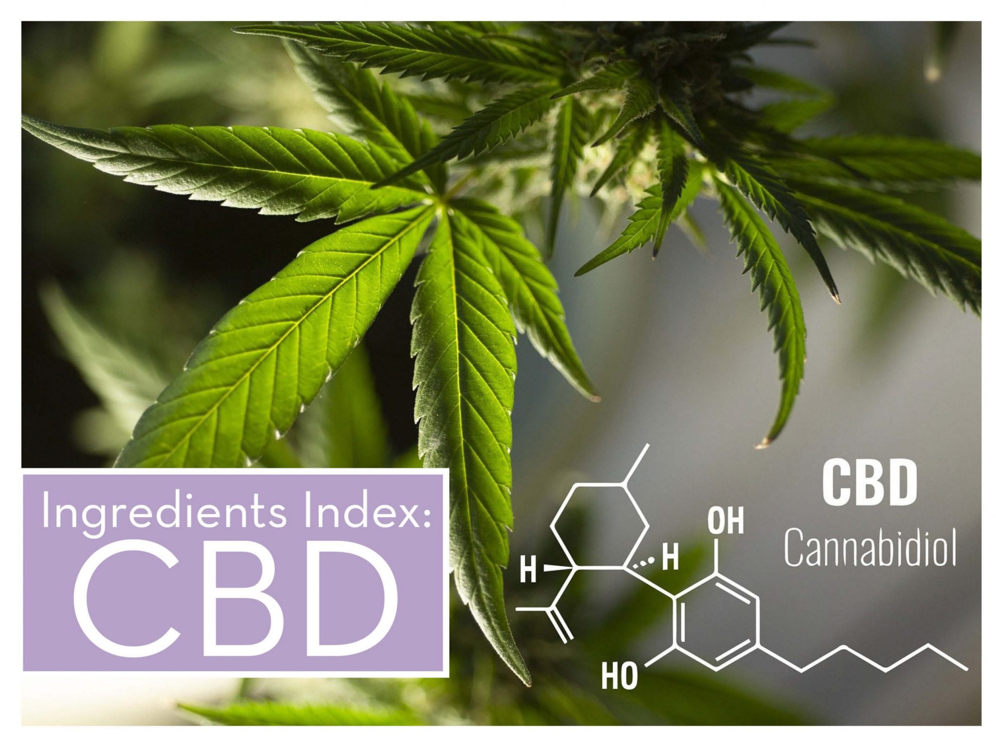 Ingredients Index: CBD