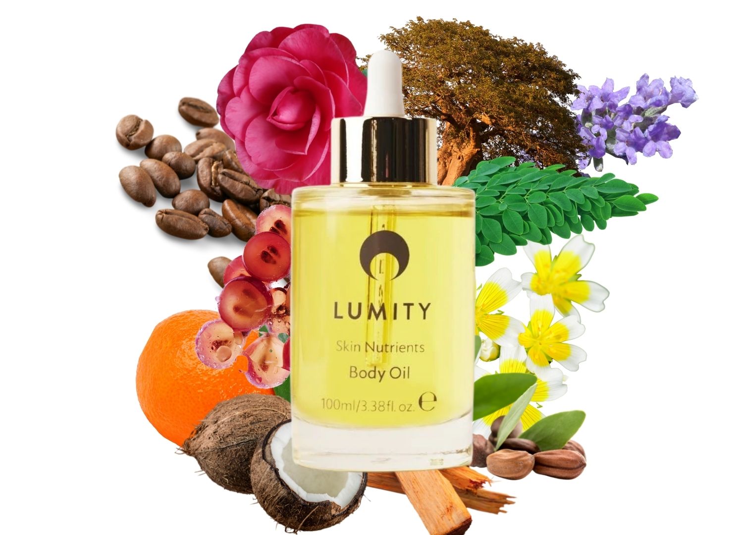 lumity body oil