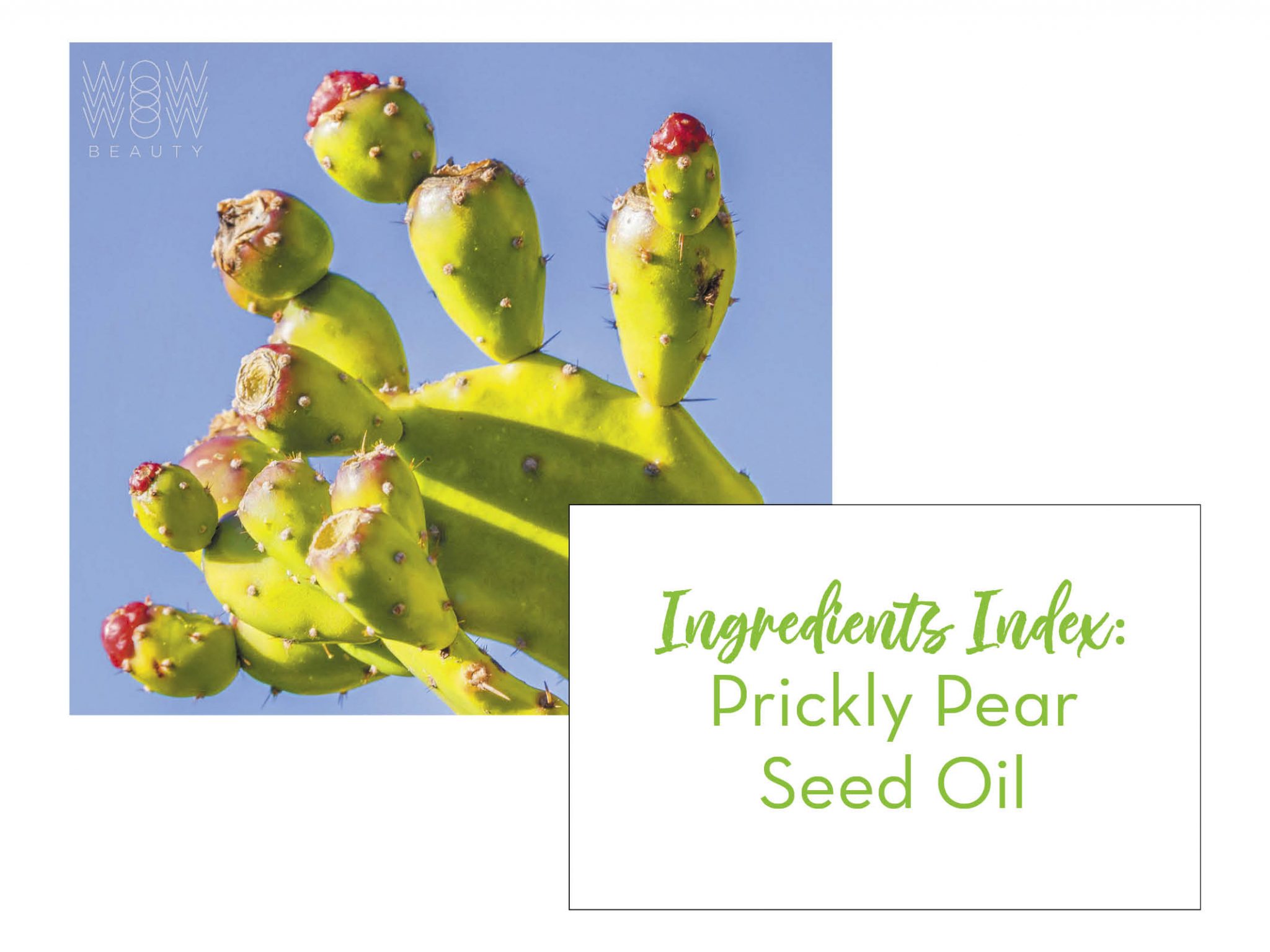 prickly pear seed oil