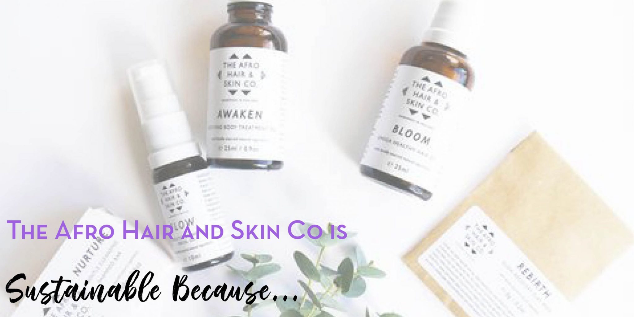 sustainable beauty the afro hair and skin