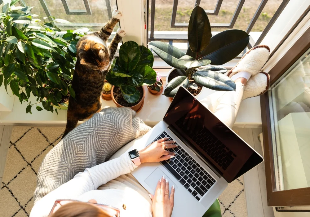 Brighten your day this Blue Monday!