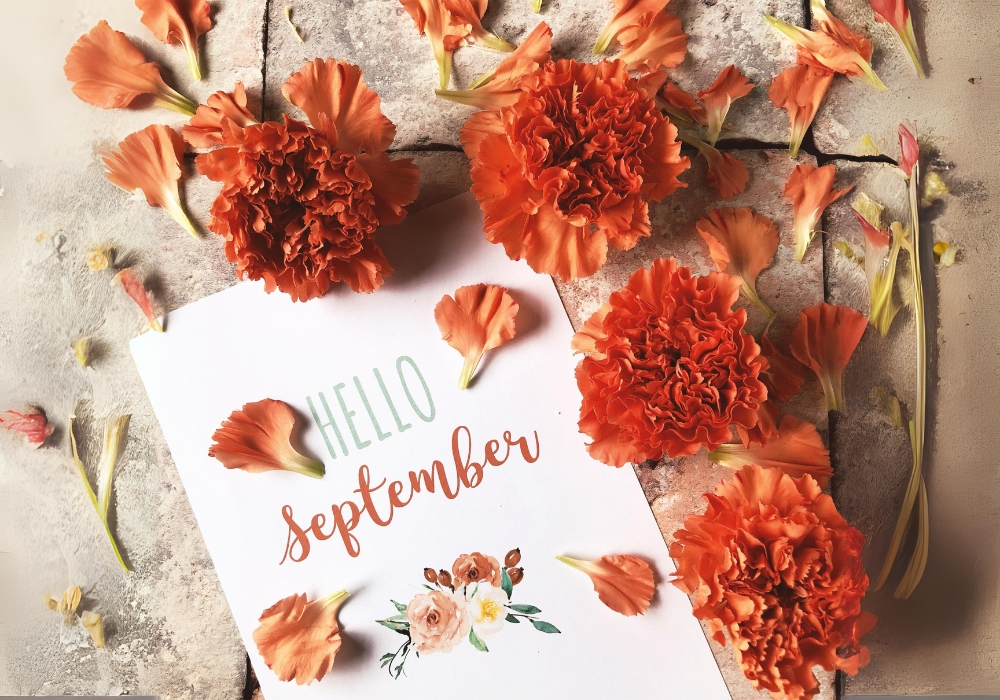 hello september