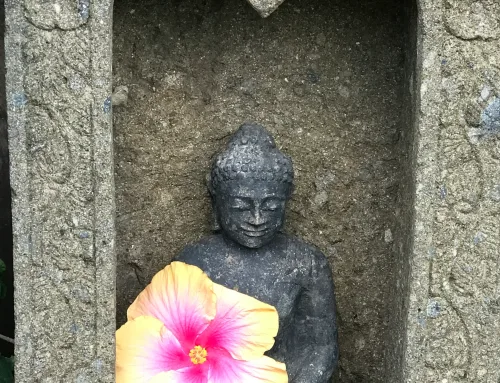 The Non-Meditators Guide to Meditation